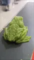 Realistic textured green toad squeeze toy for stress relief and prank gift purpose - Dark Green
