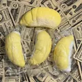 Vista detallada de cuatro juguetes squishy de durián amarillo con textura realista - 12cm / Musang King Durian
