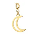 Elegante vergulde halve maan bedeltje voor DIY sieraden maken van een ketting - Maan / Met veersluiting