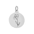Zilveren roestvrijstalen iris geboortebloem hanger voor handgemaakte DIY sieraden - Februari