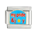 Macro shot of stainless steel Italian charm link with 'my pride & joy' enamel design - my pride & joy Text Style (CYQ-22) / Single Piece