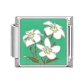 Italian modular charm in stainless steel featuring white flowers on green enamel - Green White Flower Style (#10)