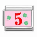 Modular stainless steel Italian charm link featuring pink background with number 5 and clover - Number 5 Pink Clover Style / 1 Piece/Pack