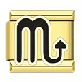 Macro detail of a golden Scorpio zodiac Italian modular charm for DIY jewelry bracelets - Scorpio / Gold
