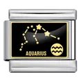 Charm segno zodiacale Acquario per bracciale modulare italiano in acciaio - Acquario (ICP005-3) / Oro