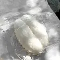 Vue détaillée d'un jouet squishy en forme de beignet à la noix de coco blanc créatif - Texture de Flocons de Noix de Coco / Blanc Coco