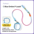 Blue and pink gradient pet P-rope leash and wider collar set, 1.2m length for all dogs - Leash Set (1.2cm Diameter) / M / Blue Gradient