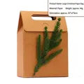 Large brown kraft paper Christmas gift bag with festive pine branch decoration - Tree Branch / L