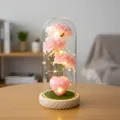 Elegantes claveles artificiales en cúpula de cristal con luces LED y base de madera. - Estilo Base Madera Hierba Corazón Rosa / Cúpula de plástico / Rosa
