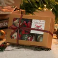 Set kerstornamenten van wolvilt in kraft doosje met geruit lint voor decoratie - 6-Delige Boxset