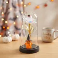 Cúpula de cristal con rosa iridiscente de Halloween con ojo espeluznante y figura de fantasma - Estilo Calabaza (WSYA) / Cúpula de plástico / Base Dorada Circonita de Colores