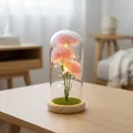 Rosa Nelke Seifenblume in Glaskuppel mit warmen LED-Lichtern auf einem Holzsockel - Rosa Gras Holzbasis Stil