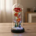 Enchanted Red Rose in LED Glass Dome with Miniature Christmas Trees Festive Decor - Plastic Dome + Color Box / Red with Multicolor Light and Black Base