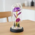 Rosa de lámina púrpura en cúpula de vidrio con luces LED y mini pinos decorativos - Cúpula de Plástico + Caja de Color / Púrpura con luz cálida y base negra