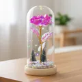 Rosa galaxia iridiscente en cúpula de cristal con luces LED sobre base de madera - Cúpula de Plástico + Caja de Color / Rosa Fucsia + Luz Multicolor + Base de Madera
