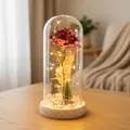 Rosa eterna en cúpula de cristal con luces LED y mini árboles en base de madera - Cúpula de Plástico + Caja de Color / Rojo Pan de Oro + Luz Cálida + Base de Madera