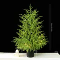 90cm artificial Forfolk pine Christmas tree with warm lights and black pot decoration - Pure PE Type B (With Lights) / 90cm