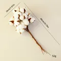 Bündel natürlicher getrockneter Baumwollblütenstiele für Weihnachtsdekorationen - Baumwollblume (Mit Stiel) / Pack of 10