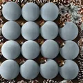 Set van 16 grijze fluwelen kerstballen van 8 cm met gevlokte textuur op rustieke basis. - 6cm Pak van 15 / Grijsblauwe platte bolkappen