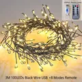 3M 100 LED warm white copper wire string lights with USB and 8-mode remote control - USB + 8 Mode Remote / 3 Meters 100 LEDs Pack / Warm White (Black Wire)