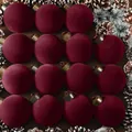 Set de 12 lujosas bolas de Navidad de 8 cm en terciopelo granate flocado para el árbol - 12 Piezas/Paquete / Burdeos