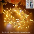 Decorative 3m 100 LED silver wire string lights with USB plug and 8-mode remote control - USB + 8 Mode Remote / 3 Meters 100 LEDs Pack / Warm White (Silver Wire)