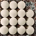Elegante set van 16 crème fluwelen gevlokte kerstballen voor luxe kerstboomdecoratie - Platte kogelkappen gebroken wit