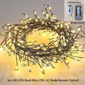 6m 200 LED warm white firecracker string lights with USB and 8-mode remote control - USB + 8 Mode Remote / 6 Meters 200 LEDs Pack / Warm White (Black Wire)