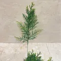 Detailansicht eines künstlichen Zypressenzweigs aus Weichgummi für Weihnachten - 31cm Doppelschichtiges Kiefernblatt 02
