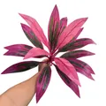 Vista de detalle de follaje artificial de Cordyline con hojas variegadas en rosa y verde - 18 Hojas / Fucsia