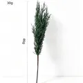 Artificial pine cypress greenery branch for Christmas and winter home landscaping decor - Green Pine Branch