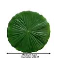 Artificial green lotus leaf placemat for dining table decoration medium size 28cm diameter - Medium Lotus Leaf / Diameter 28CM
