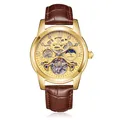 AOKULASIC luxury business men's automatic mechanical skeleton watch with brown leather strap - Brown Strap Gold Case Gold Dial