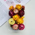 Top view of vibrant dried strawflowers inside a clear plastic storage container - Colorful Strawflower Heads (20 Pieces/Pack)