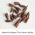 Natürliche getrocknete Magnolienfrüchte, 17er-Pack für DIY-Deko und Aromatherapie - Ca. 17 Stk / 10g / Braun