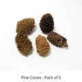 Natural dried pinecones in a 5-pack set for Christmas floral DIY craft and decor - 5 Pieces / Original Color