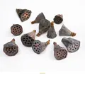 Natural dried lotus pod 5-pack for aromatherapy DIY floral arrangement crafts - Natural Color Mini Lotus Pods (5 Pieces/Pack)