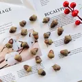 Natural dried acorns for DIY Christmas wreaths crafts and botanical specimen decor - Small Acorns (10 Pieces/Pack)