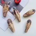 Natural dried Buddha's hand fruit pods for DIY aromatherapy and Christmas crafts - Starfruit Pods (3 Pieces/Pack)