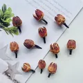 Natural dried flower buds for DIY crafts and aromatherapy decor in a lifestyle setting. - 10 Rose Shells