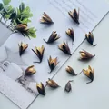 Premium natural dried flower buds for creative DIY handicraft and aromatherapy decor. - 10 Magnolia Pods