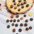 Natural dried fruit pods for DIY Christmas wreaths and aromatherapy craft materials - 20 Mini Mandarins