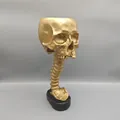 Maceta de calavera dorada gótica con soporte de columna vertebral sobre base negra - Dorado