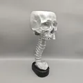Maceta de calavera gótica plateada con soporte de columna vertebral para decoración - Plateado