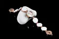 Elegante orologio a bracciale da donna in oro rosa e bianco con maglie circolari - Bianco