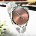 Orologio da donna elegante con quadrante marrone a raggiera e cinturino in maglia d'argento - Marrone