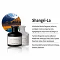Shangri-La Raumduft-Diffusor mit Bergamotte und weißem Tee in einer schwarzen Glasflasche - Shangri-La / Mattschwarz
