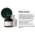 Mist Forest Raumduft Diffusoröl mit Kiefern- und Kampfernoten in Glasflaschen - Nebelwald