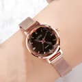 Montre à quartz élégante pour femme en or rose avec cadran brun et bracelet maille - Cadran Noir Boîtier Or Rose Bracelet en Maille Or Rose