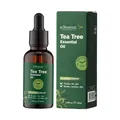 KORMESIC 30ml tea tree essential oil for facial oil control and skin purification - Essential Oil / 30ml Pack
